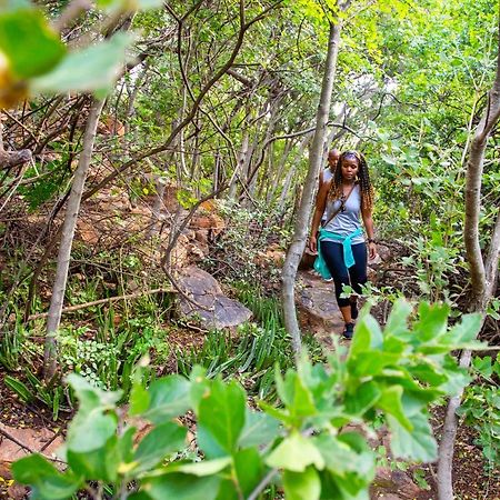 Pensjonat The Cliffside Boutique Getaway Johannesburg Zewnętrze zdjęcie