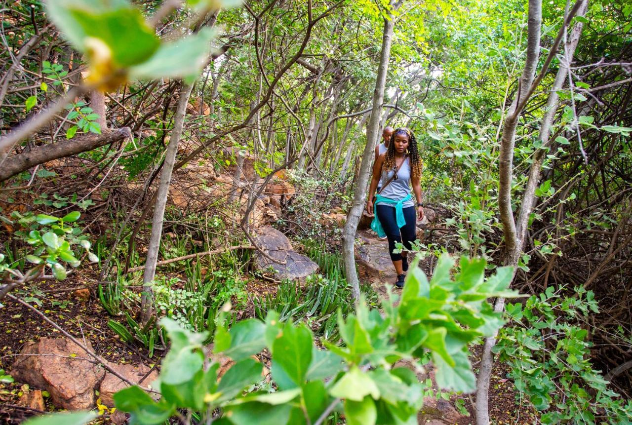Pensjonat The Cliffside Boutique Getaway Johannesburg Zewnętrze zdjęcie